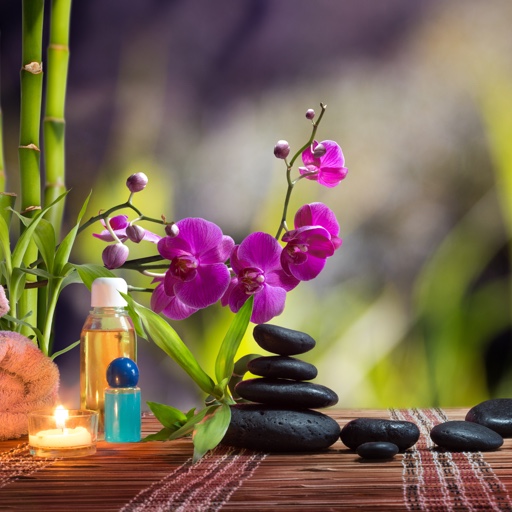 Modernthaispa Referral Program